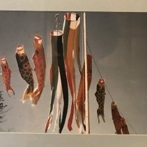 Fish Streamers, Narimatsu, Japan